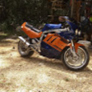 Meet your Posher, Randy